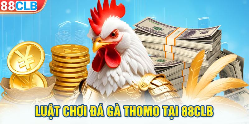 Luật chơi đá gà Thomo tại 88CLB