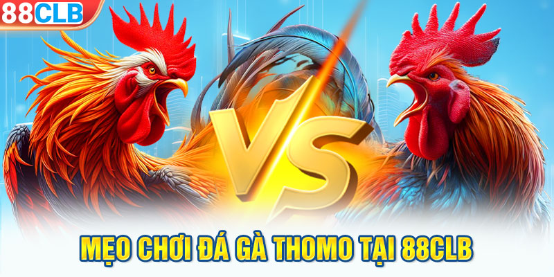 Mẹo chơi đá gà Thomo tại 88CLB