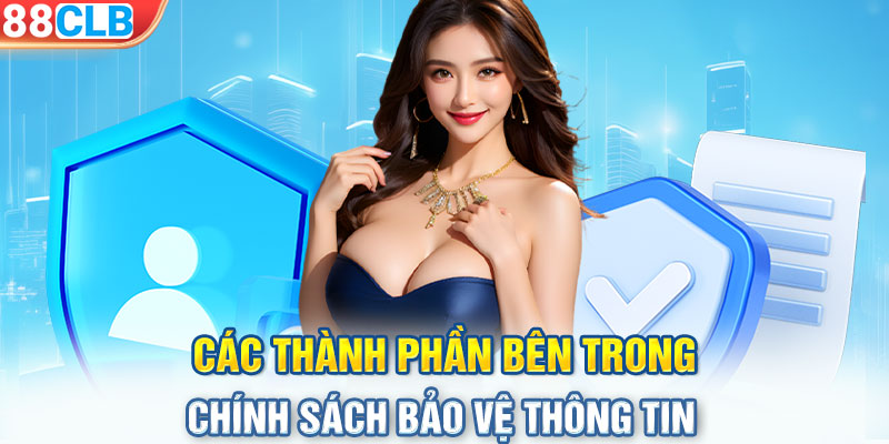 Các thành phần bên trong chính sách bảo vệ thông tin