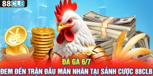 Đá Gà 6/7 – Đem Đến Trận Đấu Mãn Nhãn Tại Sảnh Cược 88CLB