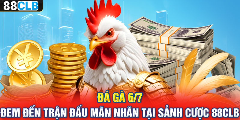 Đá Gà 6/7 – Đem Đến Trận Đấu Mãn Nhãn Tại Sảnh Cược 88CLB