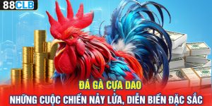 Đá Gà Cựa Dao – Những Cuộc Chiến Nảy Lửa, Diễn Biến Đặc Sắc