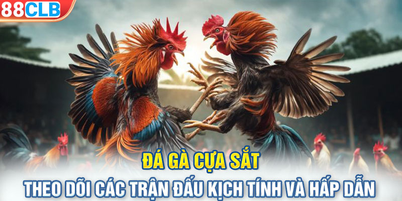 Đá Gà Cựa Sắt - Theo Dõi Các Trận Đấu Kịch Tính Và Hấp Dẫn