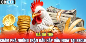 Đá Gà Tre – Khám Phá Những Trận Đấu Hấp Dẫn Ngay Tại 88CLB