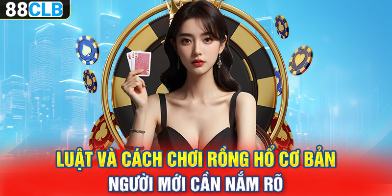 Luật và cách chơi rồng hổ cơ bản người mới cần nắm rõ 