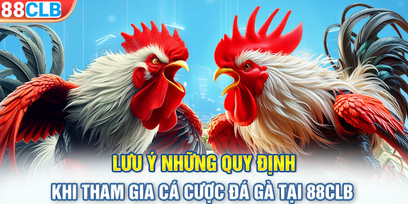 Lưu ý những quy định khi tham gia cá cược đá gà tại 88CLB