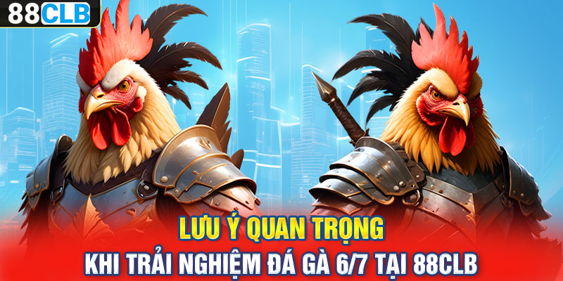 Lưu ý quan trọng khi trải nghiệm đá gà 6/7 tại 88CLB