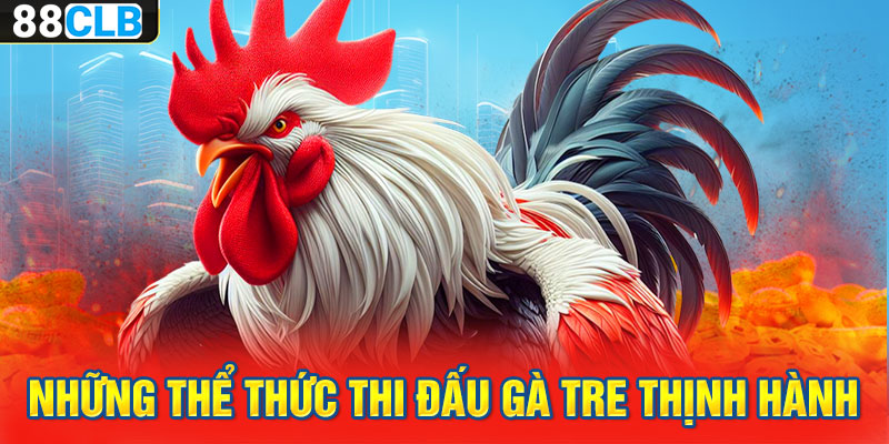 Những thể thức thi đấu gà tre thịnh hành