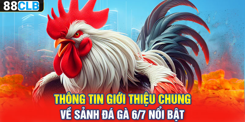 Thông tin giới thiệu chung về sảnh đá gà 6/7 nổi bật