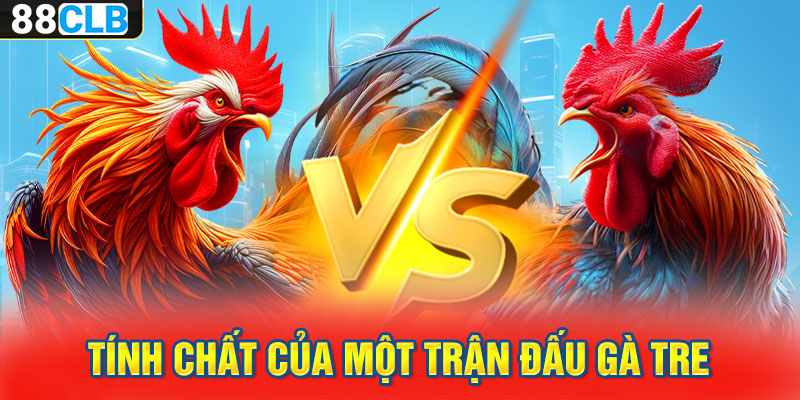 Tính chất của một trận đấu gà tre