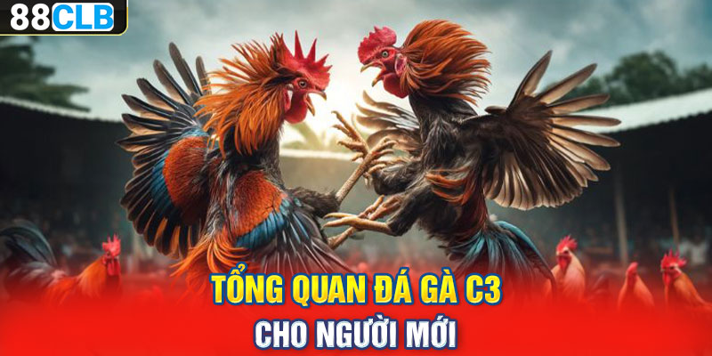 Tổng quan đá gà C3 cho người mới