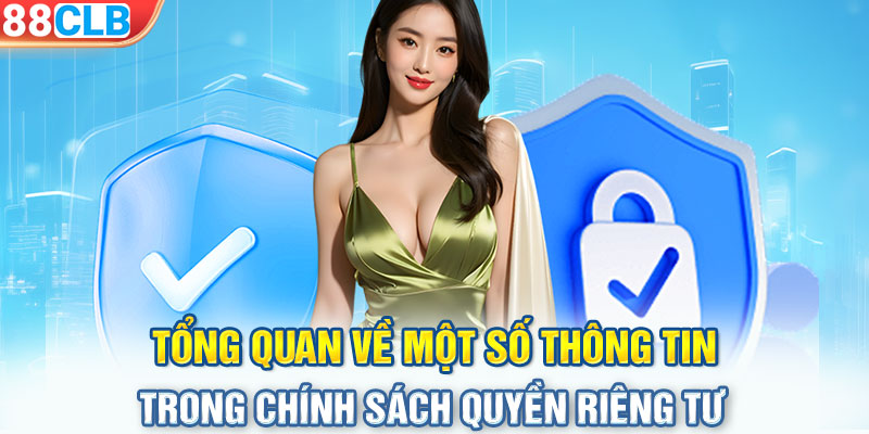 Tổng quan về một số thông tin trong chính sách quyền riêng tư