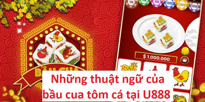 Bạn cần ghi nhớ những thuật ngữ dưới đây để chơi bầu cua hiệu quả hơn